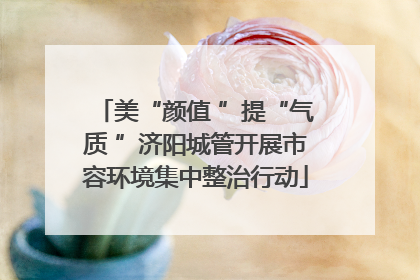 美“颜值 ”提“气质 ”济阳城管开展市容环境集中整治行动
