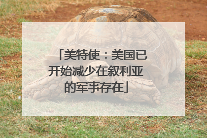 美特使：美国已开始减少在叙利亚的军事存在