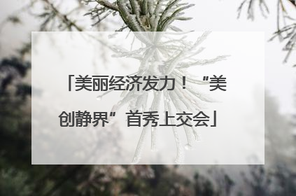 美丽经济发力！“美创静界”首秀上交会