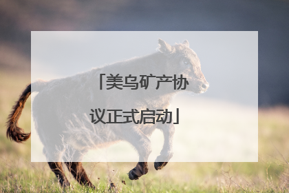 美乌矿产协议正式启动