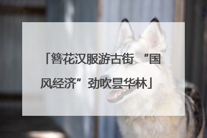 簪花汉服游古街 “国风经济”劲吹昙华林