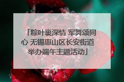 粽叶裹深情 军舞颂同心 无锡惠山区长安街道举办端午主题活动