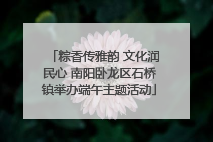粽香传雅韵 文化润民心 南阳卧龙区石桥镇举办端午主题活动