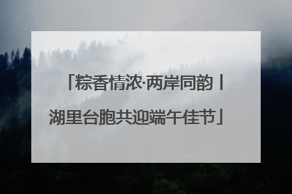 粽香情浓·两岸同韵丨湖里台胞共迎端午佳节