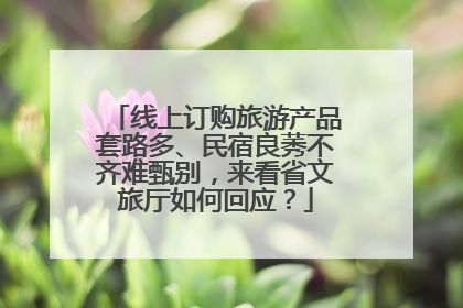 线上订购旅游产品套路多、民宿良莠不齐难甄别，来看省文旅厅如何回应？
