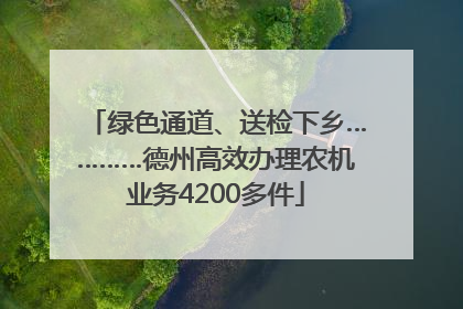 绿色通道、送检下乡…………德州高效办理农机业务4200多件