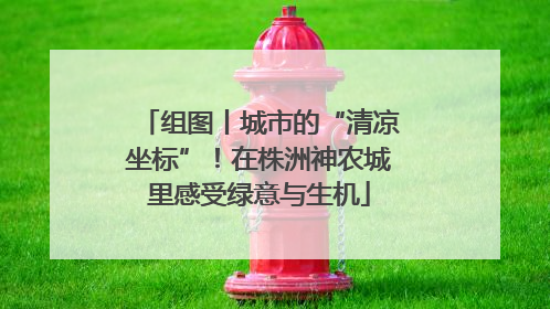 组图丨城市的“清凉坐标”！在株洲神农城里感受绿意与生机