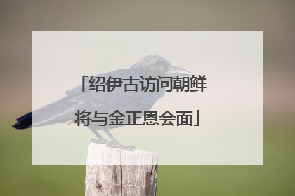 绍伊古访问朝鲜 将与金正恩会面