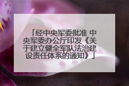 经中央军委批准 中央军委办公厅印发《关于建立健全军队法治建设责任体系的通知》