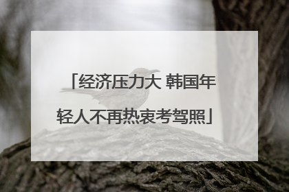 经济压力大 韩国年轻人不再热衷考驾照