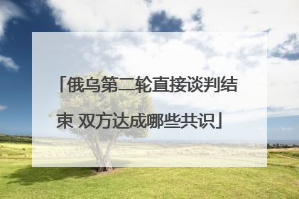 俄乌第二轮直接谈判结束 双方达成哪些共识
