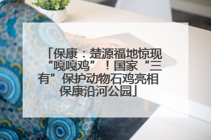 保康：楚源福地惊现“嘎嘎鸡”！国家“三有”保护动物石鸡亮相保康沿河公园