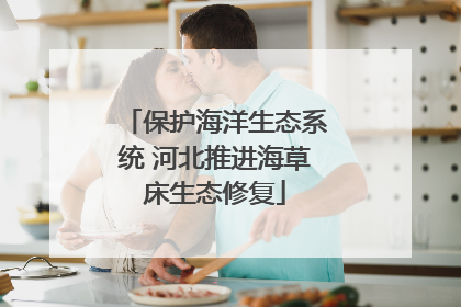 保护海洋生态系统 河北推进海草床生态修复
