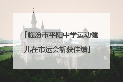 临汾市平阳中学运动健儿在市运会斩获佳绩