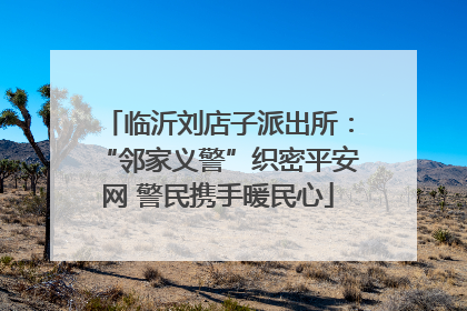 临沂刘店子派出所：“邻家义警”织密平安网 警民携手暖民心