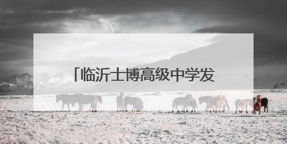 临沂士博高级中学发布学校2025年艺体特长生招生简章