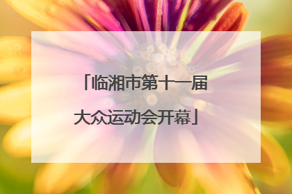 临湘市第十一届大众运动会开幕