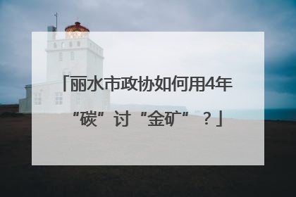 丽水市政协如何用4年“碳”讨“金矿”？