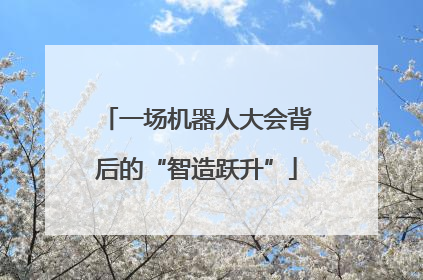 一场机器人大会背后的“智造跃升”