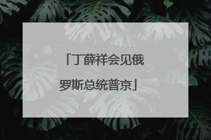 丁薛祥会见俄罗斯总统普京