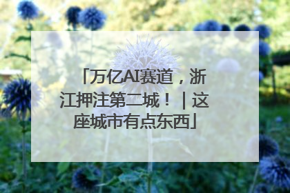 万亿AI赛道，浙江押注第二城！｜这座城市有点东西