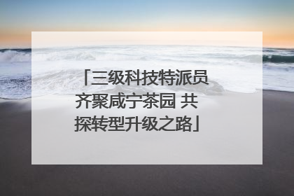 三级科技特派员齐聚咸宁茶园 共探转型升级之路