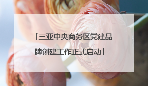 三亚中央商务区党建品牌创建工作正式启动