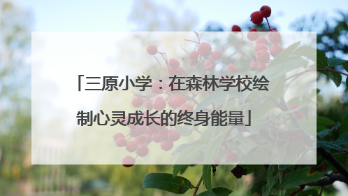 三原小学：在森林学校绘制心灵成长的终身能量
