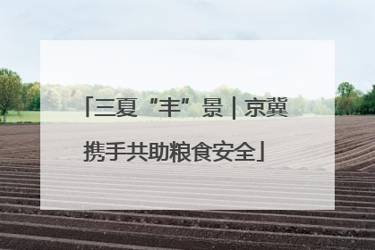 三夏“丰”景｜京冀携手共助粮食安全