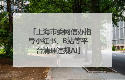 上海市委网信办指导小红书、B站等平台清理违规AI