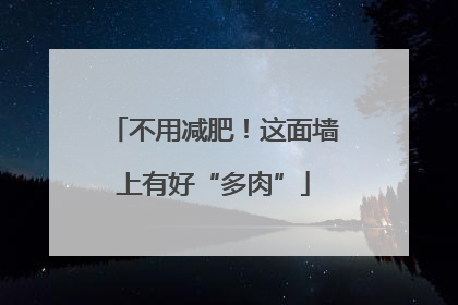 不用减肥！这面墙上有好“多肉”