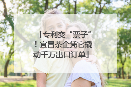 专利变“票子”！宜昌茶企凭它撬动千万出口订单
