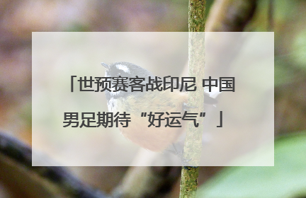 世预赛客战印尼 中国男足期待“好运气”