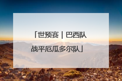 世预赛｜巴西队战平厄瓜多尔队