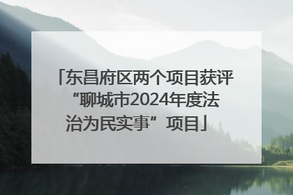 东昌府区两个项目获评“聊城市2024年度法治为民实事”项目