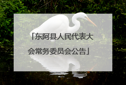 东阿县人民代表大会常务委员会公告