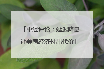 中经评论：延迟降息让美国经济付出代价