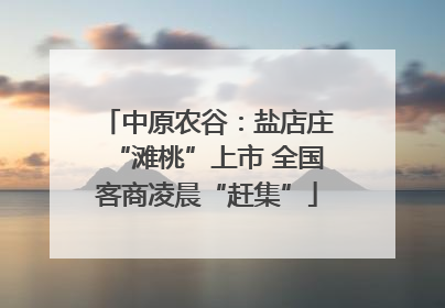中原农谷：盐店庄“滩桃”上市 全国客商凌晨“赶集”