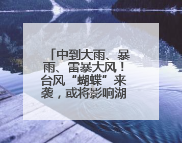 中到大雨、暴雨、雷暴大风！台风“蝴蝶”来袭，或将影响湖北！