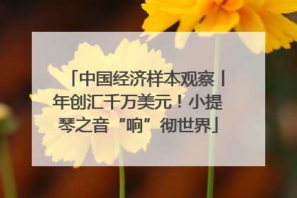 中国经济样本观察丨年创汇千万美元！小提琴之音“响”彻世界