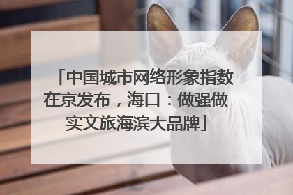 中国城市网络形象指数在京发布，海口：做强做实文旅海滨大品牌