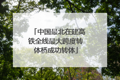 中国最北在建高铁全线最大跨度转体桥成功转体