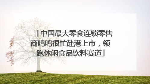 中国最大零食连锁零售商鸣鸣很忙赴港上市，领跑休闲食品饮料赛道