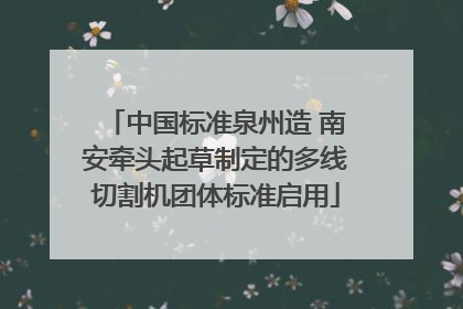 中国标准泉州造 南安牵头起草制定的多线切割机团体标准启用
