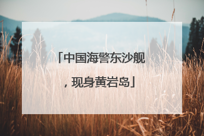 中国海警东沙舰，现身黄岩岛