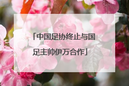 中国足协终止与国足主帅伊万合作