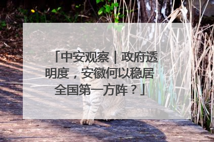 中安观察｜政府透明度，安徽何以稳居全国第一方阵？