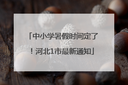 中小学暑假时间定了！河北1市最新通知
