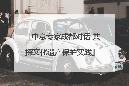 中意专家成都对话 共探文化遗产保护实践