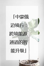 中蒙俄边境行：跨境能源通道的智能升级
